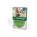 Advantage¹ Floh- &amp; Lausbehandlung für Hunde 25-40 kg 4 Pipetten -...