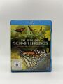 Die Reise des Schmetterlings - Das Geheimnis de.. I Blu-ray DVD I sehr gut