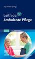 Leitfaden Ambulante Pflege | Anja Palesch | Taschenbuch | Klinikleitfaden | XIV 