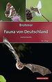 Brohmer – Fauna von Deutschland: Ein Bestimmungsbuch uns... | Buch | Zustand gut