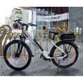 26'' Elektrofahrrad City eBike Elektrofahrräder 36V/20AH E-Mountainbike 7 Gänge