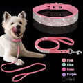 Strasshalsband Hundehalsband mit Leine Welpe Halsband Hundeleine 5 Farben XS S M