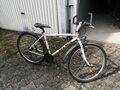 26 ZOLL DAMENCITYRAD 21-GANG Art SHIMANO 2608-MINT-600