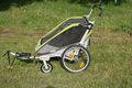 Thule Chariot Cougar 2 Fahrradanhänger Kindertransporter