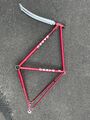 Basso Rahmen  Gr. 50 S XS Singlespeed Fixie Rennrad de rosa Bahn