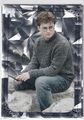 Panini Harry Potter Evolution Nr. 26 Harry Potter Fragmented Reality Parallel