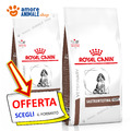 Royal Canin Hund → Veterinary Gastrointestinal Puppy - 2,5/10 KG - Diäten Hund