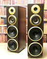 2x Newtronics Union Pacific DARK OCEAN Aktiv-Lautsprecher Active Speakers