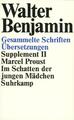 Gesammelte Schriften, Suppl.-Bde., Kt Im Schatten der jungen ... 9783518578759