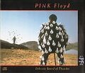 Delicate Sound of Thunder von Pink Floyd | CD | Zustand sehr gut