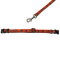 Hundehalsband orange Halsband Welpenhalsband mit Leine Welpe Hunde Hundeleine