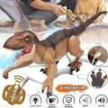 Ferngesteuerter Dinosaurier Spielzeug, RC Dino für Kinder ab 4, 5, 6, 7, 8 Jahre