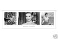 Poster AUDREY HEPBURN - Triptych - Roman Holiday NEU y058