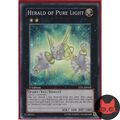 Yugioh Herald of Pure Light JOTL-EN058 (Super selten) 1. Auflage