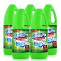 DanKlorix Hygiene-Reiniger Grüne Frische 1,5L - Mit Aktiv-Chlor (5er Pack)