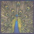 The Bluetones - Expecting To Fly (CD, Album)