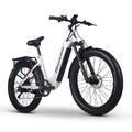 E-Bike 26 Zoll 25km/h Elektrofahrrad 1000W Damen eBike Pedelec E-City Bike Moped