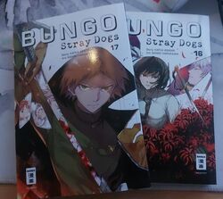 Bungo Stray Dogs 16 & 17  von Kafka Asagiri (2020, Taschenbuch)