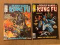 Deadly Hands Of Kung Fu #30 und 31 FN - Iron Fist, White Tiger 1976