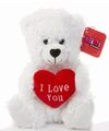 25 cm Teddybär mit 'I Love You' rotem Herzen Valentinstagsgeschenk. Weiß/Creme