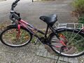 26" Giant Coldrock MTB Damenfahrrad