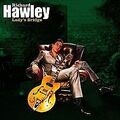 LadyS Bridge von Hawley,Richard | CD | Zustand gut