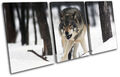 White Wolf Wild Snowy Woods Animals TREBLE Leinwand Kunst Bild drucken