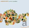 Junior Boys - So This Is Goodbye - Junior Boys CD U4LN The Cheap Fast Free Post