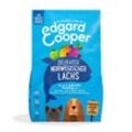 Edgard & Cooper Frischer norwegischer Lachs 2,5kg