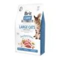 Brit Care GF Large Cats Power & Vitality 2kg