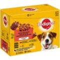 PEDIGREE Pouch Adult Gem. Selektion Multipack 1 24x100g