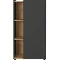 GERMANIA Aktenschrank Austin, 2976-549 grafit, eiche 2 Fachböden 62,0 x 42,0 x 115,0 cm