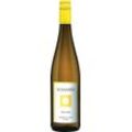 Schloss Vollrads "SV" Sommer Riesling