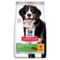 Hill's Science Plan Senior Vital Large 6+ 14kg