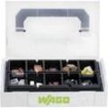 WAGO 887-950 Verbindungsklemmen-Sortiment flexibel: 0.14-6 mm² starr: 0.2-6 mm² 1 Set