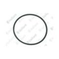 Vaillant O-Ring Brennerflansch 0020021173 0020021173