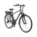 Herren Trekking E-Bike XT481 Expedition mit 21-Gang Shimano Kettenschaltung, Anthrazit