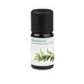 medisana Duftöl Eukalyptus orientalisch 10,0 ml, 1 St.