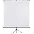 Franken Leinwand mit Stativ Valueline 240 x 240cm