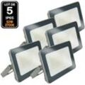 Europalamp - 5 LED-Fluter 50W ProLine Warmweiß 3000K Hohe Helligkeit.