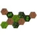Best of GREEN Kork-Hexagon Set mit 10 Grün, Braun