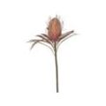 Chic Antique Fleur Protea Blume, H60 cm, altrosa