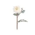 Chic Antique Fleur Dahlien, L48 cm, creme