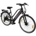 Maxtron E-Trekking-Bike MT 12 Damen