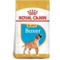 ROYAL CANIN Boxer Puppy Welpenfutter trocken 12kg