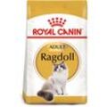 ROYAL CANIN Ragdoll Adult Katzenfutter trocken 2x10kg