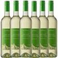 Edition Selection Grüner Veltliner halbtrocken 0,75l