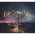 Family Tree - Black Stone Cherry. (CD)