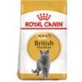 ROYAL CANIN British Shorthair Katzenfutter trocken für Britisch Kurzhaar 10kg