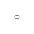 hansgrohe O-Ring 14x2,5mm 98189000